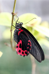 Similar image 7702794