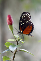 Similar image 7702795