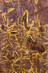 Similar image 7702811