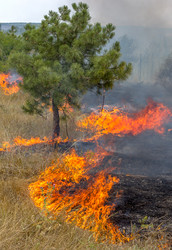 Similar image 7702822