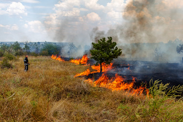 Similar image 7702826