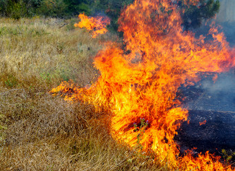 Similar image 7702837