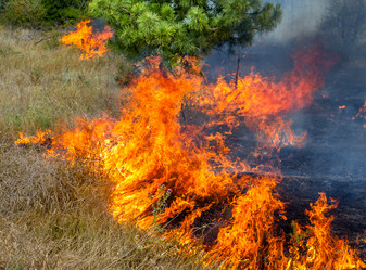 Similar image 7702838