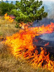 Similar image 7702840