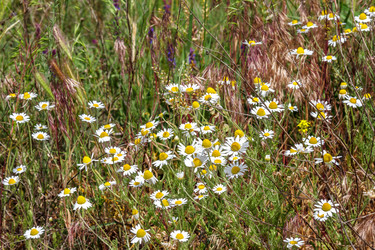 Similar image 7702844