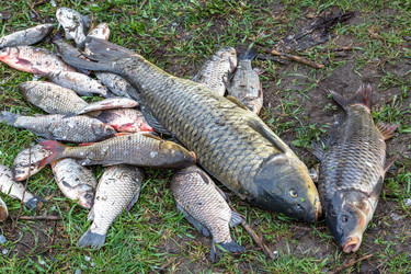 Similar image 7702848