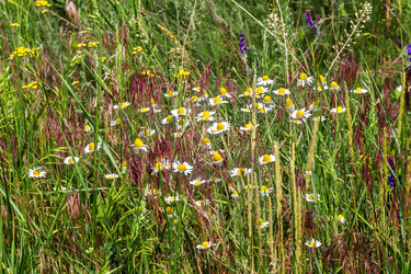 Similar image 7702851