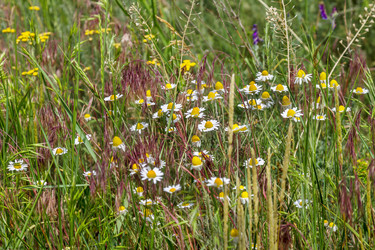 Similar image 7702852