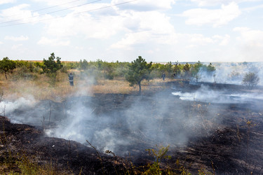 Similar image 7702854