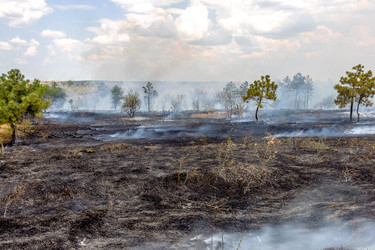 Similar image 7702855