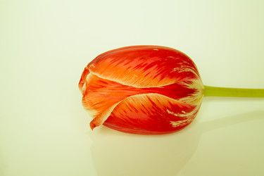 Similar image 7703047