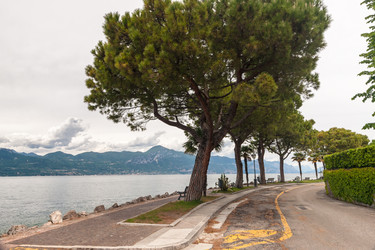 Similar image 7703157