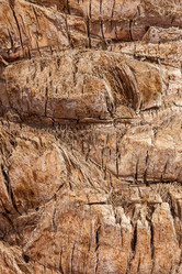 Similar image 7703409