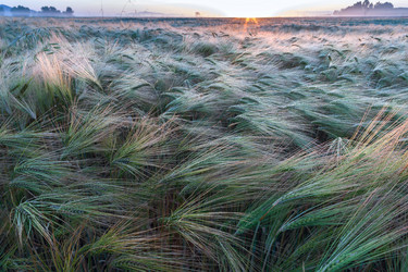 Similar image 7703434