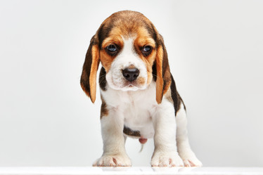 Similar image 7703448