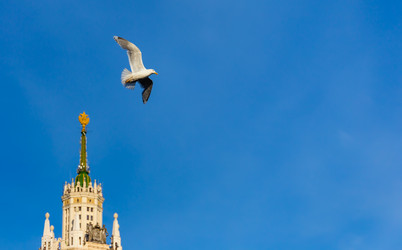 Similar image 7703483