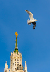 Similar image 7703484