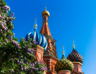 Similar image 7703535