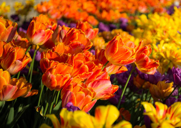 Similar image 7703562