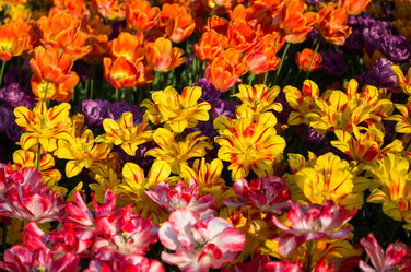 Similar image 7703563