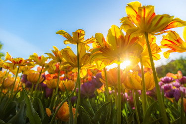 Similar image 7703566