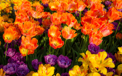 Similar image 7703570