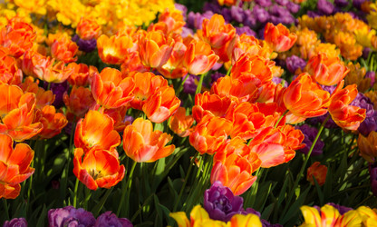 Similar image 7703571