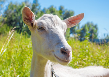 Similar image 7703586