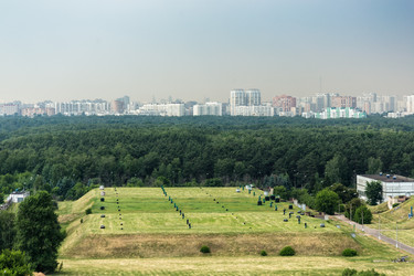 Similar image 7703726