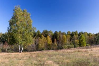 Similar image 7703745