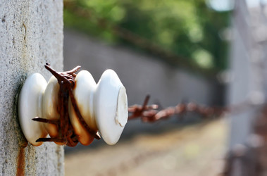 Similar image 7703820