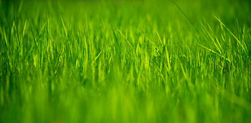 Similar image 7703907