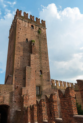 Similar image 7704069