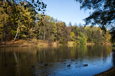 Similar image 7704075