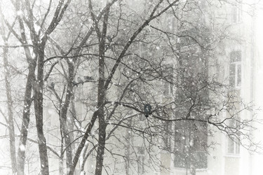 Similar image 7704085