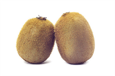 Similar image 7704257