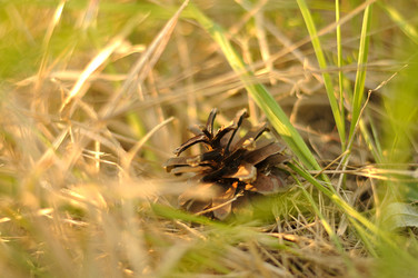 Similar image 7704361