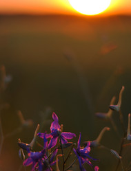 Similar image 7704365