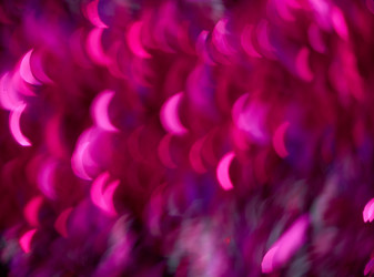 Similar image 7704382