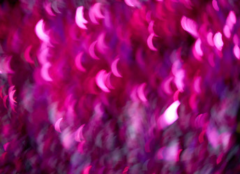 Similar image 7704384