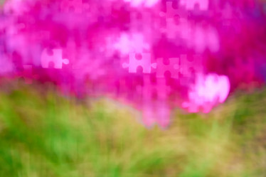 Similar image 7704387