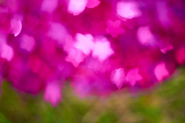 Similar image 7704388