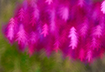 Similar image 7704402