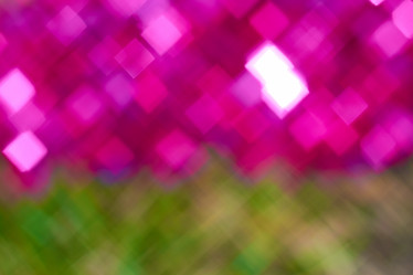 Similar image 7704404