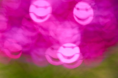 Similar image 7704415