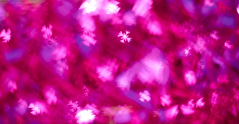 Similar image 7704421