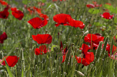 Similar image 7704663