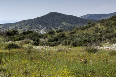 Similar image 7704664