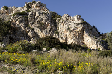 Similar image 7704665