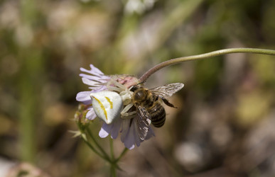 Similar image 7704666